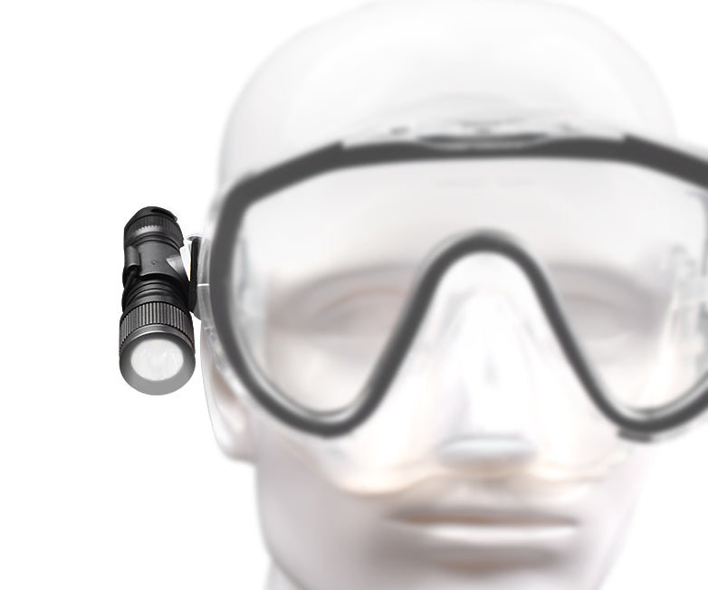 Orca Torch D560