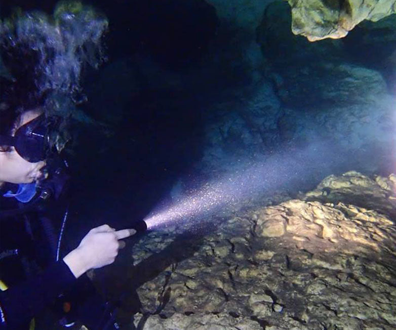 Orca Torch D520