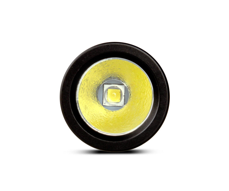Orca Torch D560