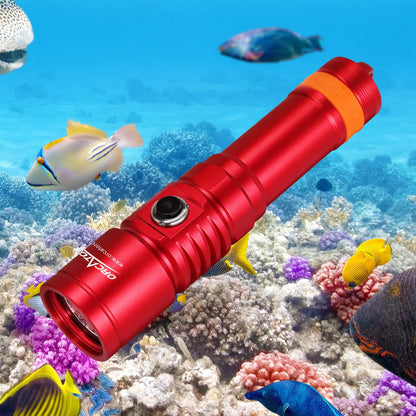 OrcaTorch D710